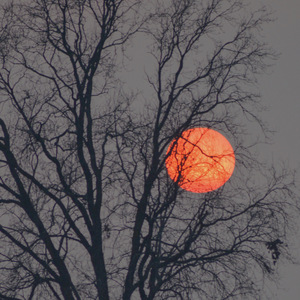 综合亚洲一二区在线观看
