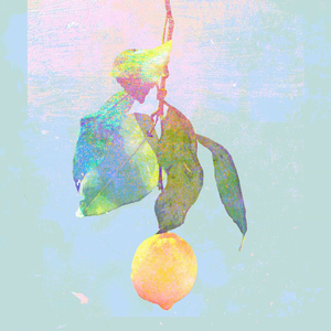 综合亚洲一二区在线观看
